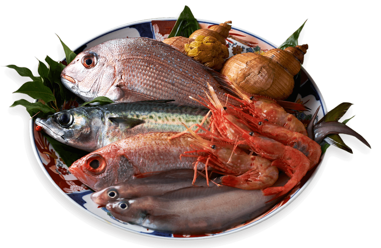 鮮魚素材