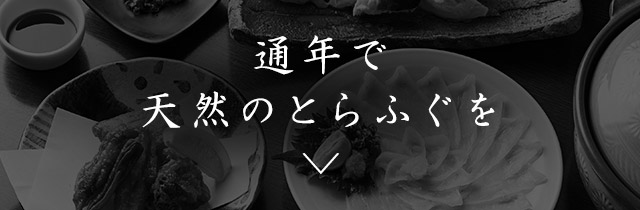 通年で 天然のとらふぐを